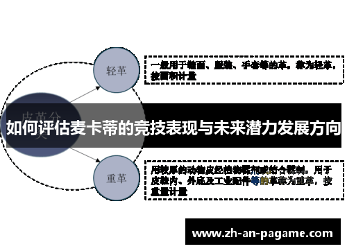 如何评估麦卡蒂的竞技表现与未来潜力发展方向