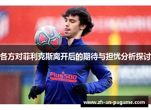 各方对菲利克斯离开后的期待与担忧分析探讨