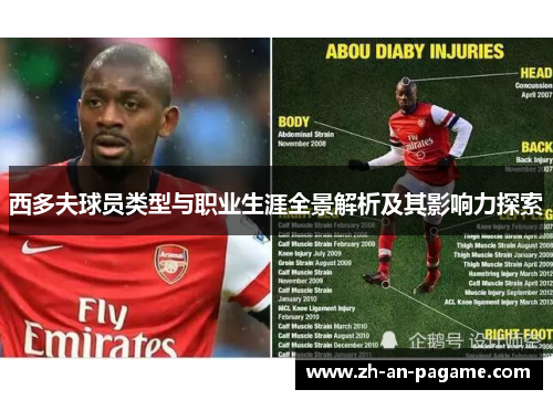 西多夫球员类型与职业生涯全景解析及其影响力探索