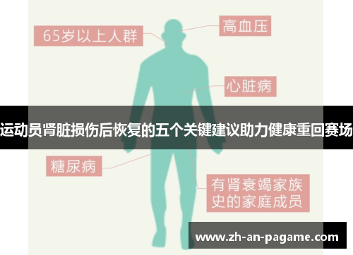 运动员肾脏损伤后恢复的五个关键建议助力健康重回赛场