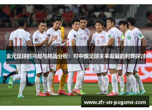 金元足球的兴起与挑战分析：对中国足球未来发展的利弊探讨